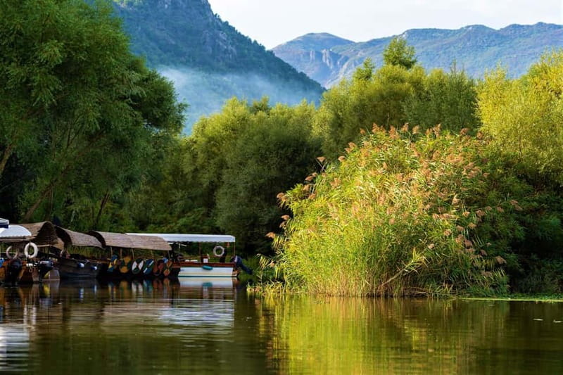 Lake Skadar National Park: Visit the Montenegrin Venice - Wine, juice, and the guide touch that makes the day feel personal