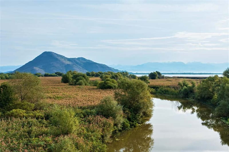 Lake Skadar National Park: Visit the Montenegrin Venice - Virpazar waterways: the quiet channel start that sets the tone