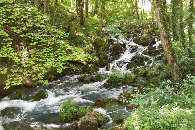 Moraca, Tara & Piva canyons with Durmitor national park - Durdevica Tara Bridge: famous views plus the zip line option