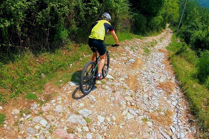 Mountain Biking on Vrmac peninsula - Panoramic view on Kotor bay - St Ilija Peak and the Kotor Bay Payoff