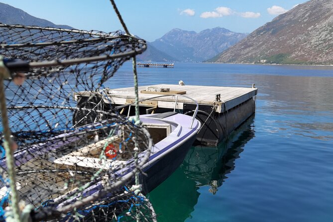 Mussel & Oyster Farm with Perast visitation Private Tour - Food focus: what fresh mussels and oysters should feel like