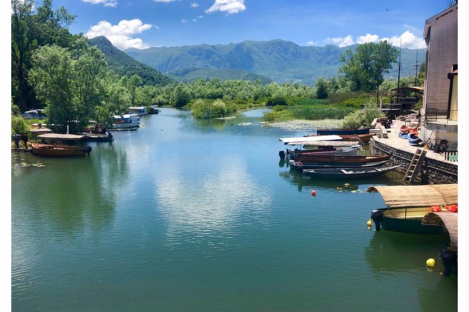 National park Skadar Lake (Private tour) - Private pickup and the comfort factor from Kotor