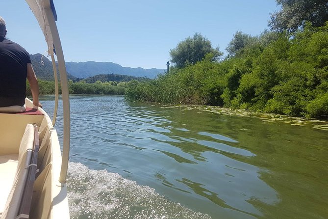 National park Skadar Lake (Private tour) - Timing for swimming and the “water temp” reality check
