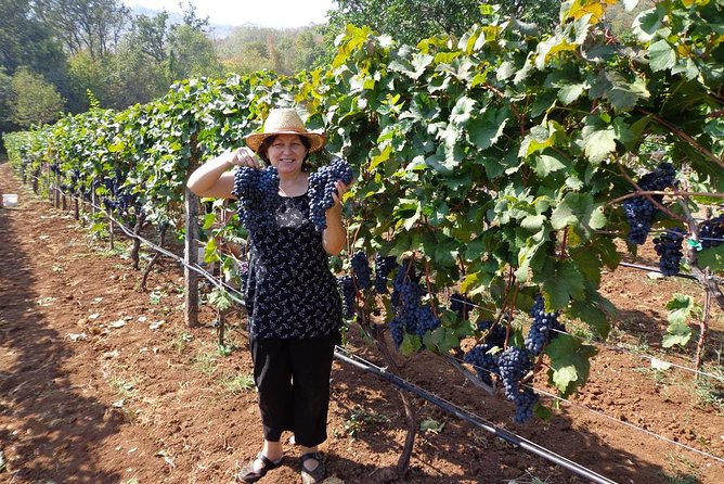 National parks and wine tasting (NP Lovcen, NP Skadar lake, Cetinje, Njegusi) - Karuc boutique winery: tastings, spirits, and a traditional Montenegrin plate