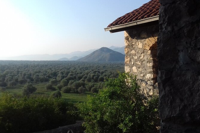 Noah's Ark Skadar Lake Journey - From Podgorica at 7:00am to Skadar Lake, with the day planned for you