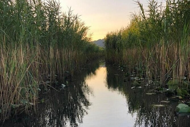 Noah's Ark Skadar Lake Journey - Ilija, plus the captain factor on the boat