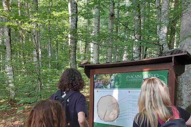NORTH TOUR Np Biograd Gora-Lake-Moraca Canyon & Monastery-Kolasin - Kolasin stop: a calm hour in town and a chance to buy local products