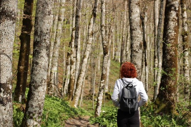 NP Biogradska Gora and Canyon Moraca (Private tour) - The Moraca River Canyon Road: Why You’re Really Here