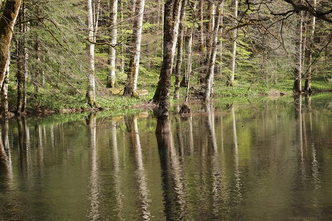NP Biogradska Gora and Canyon Moraca (Private tour) - Timing Matters: When to Aim for Color, Quiet, and Comfort