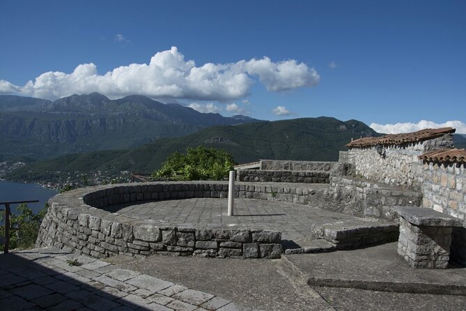 Olive oil farm to fork experience & short walking tour of Kotor - A Family Estate Visit with Nearly 1,000 Olive Trees