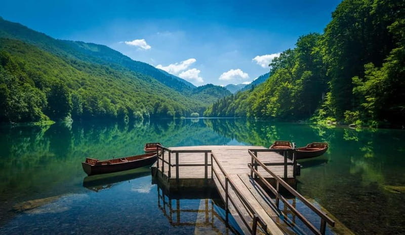 Podgorica: Biogradska Gora, Moraca and Kolasin Day Tour - Why This Podgorica to Biogradska Gora Tour Makes Sense