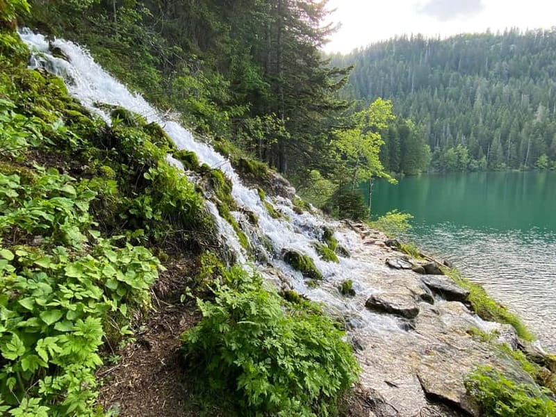 Podgorica: Durmitor National Park- Tara river, bridge & lake - Key Things You’ll Remember