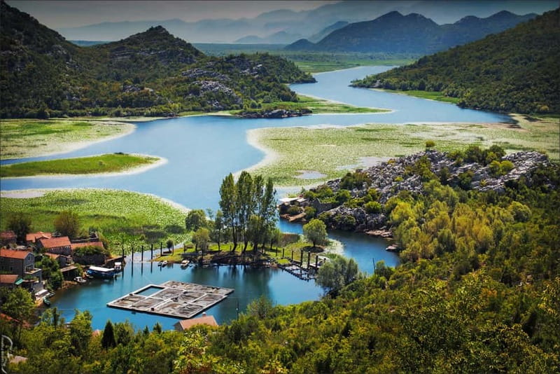 Podgorica Historic, Safari and Winery tour - Skadar lake - Key highlights that matter