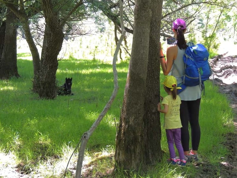Podgorica Historic, Safari and Winery tour - Skadar lake - Bisevina savanna and the wild horse possibility