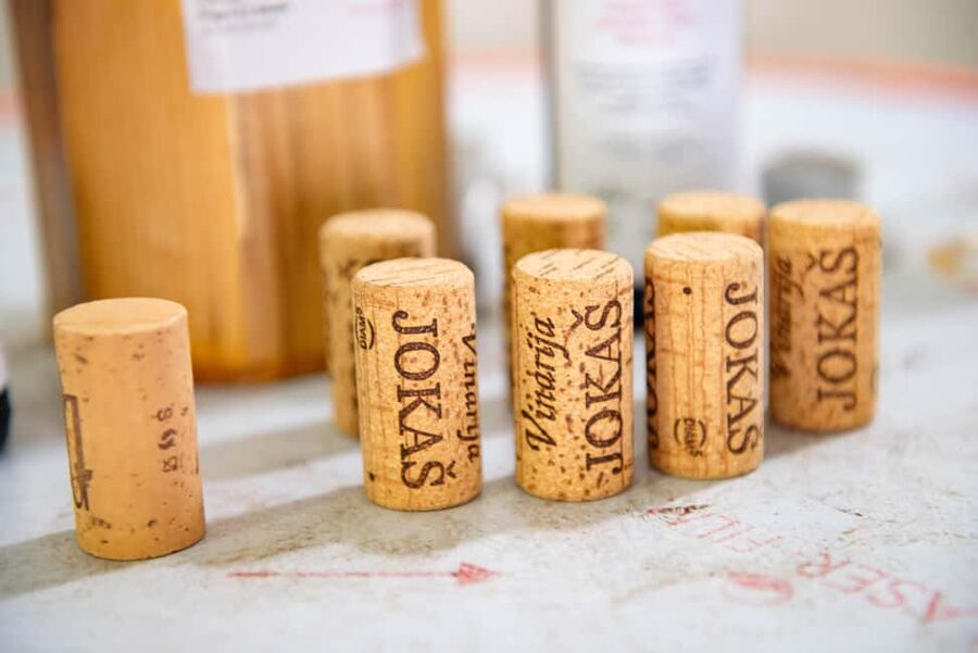 Podgorica: Panoramic Wine Tasting & Snack - Key things that make this wine tasting worth your time