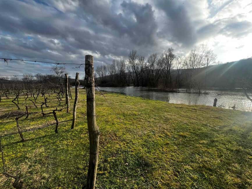 Podgorica: Panoramic Wine Tasting & Snack - Camp activities at Purple Eye Estate: fun for kids, calm for adults