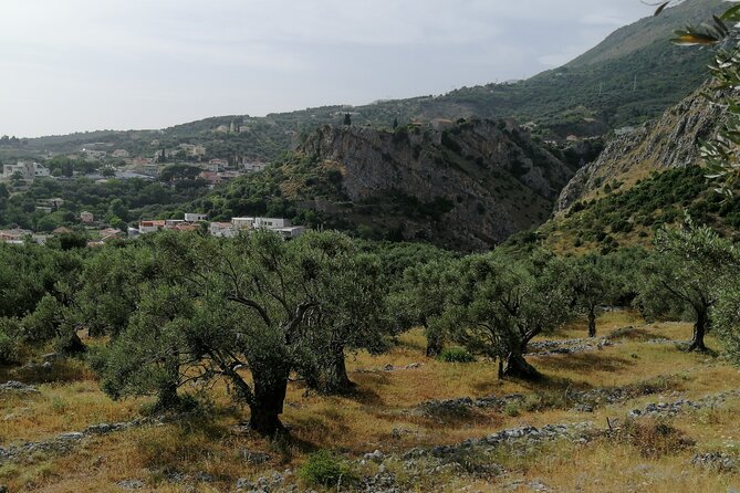 Port of Bar tour - Explore Adriatic area - Bar and Ulcinj tour - Quick takeaways