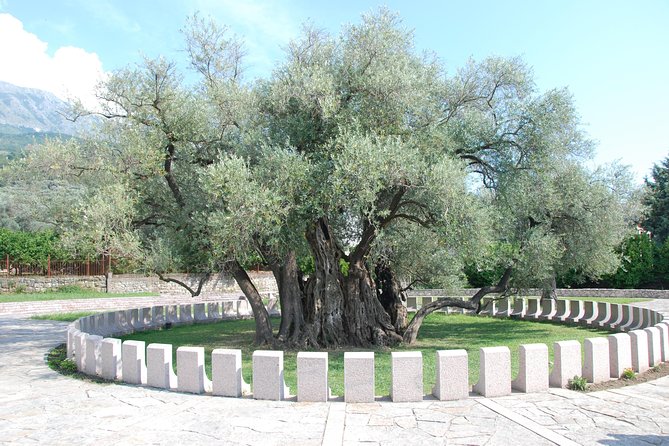 Port of Bar tour - Explore Adriatic area - Bar and Ulcinj tour - Guide Quality: Why Names Like Bojan, Ana, and Vasko Matter