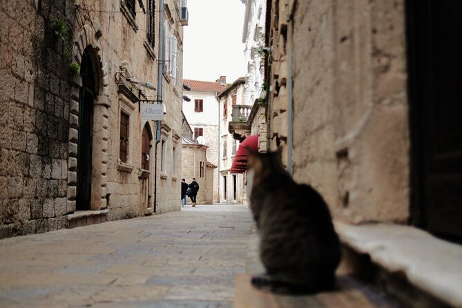 Port of Kotor - Kotor-Perast-Our lady of the rocks private tour - Who This Tour Fits Best