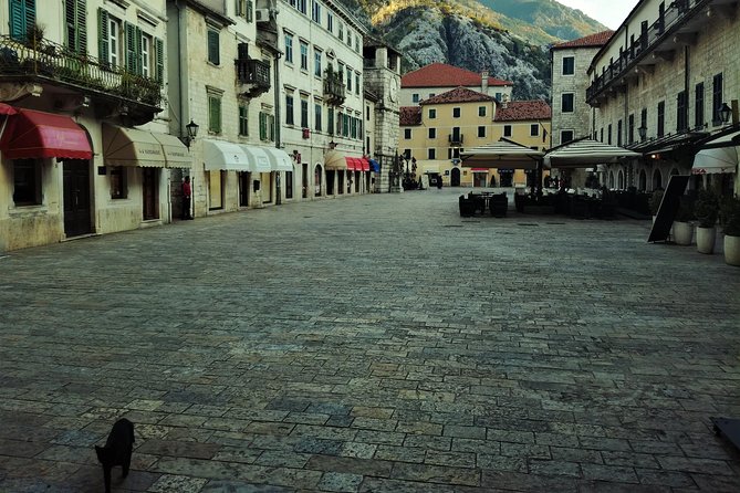 Port of Kotor - Kotor-Perast-Our lady of the rocks private tour - Price and What Makes It Feel Worth It