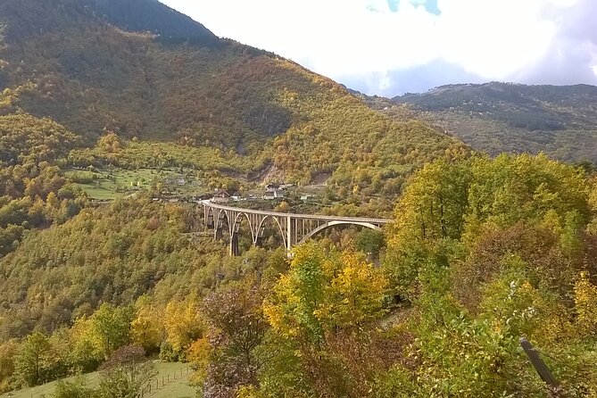 Private Full-Day Tour in Moraca and Tara Canyons, Durmitor & Biogradska Gora NP - A canyon-to-national-park day that feels big, not rushed