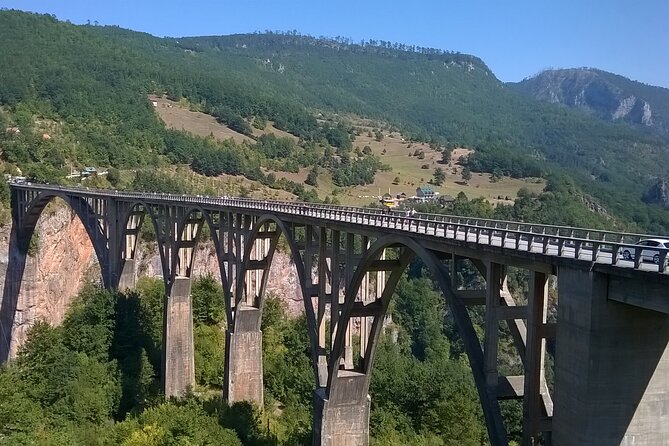 Private Full-Day Tour in Moraca and Tara Canyons, Durmitor & Biogradska Gora NP - Biogradska Gora National Park, a primeval forest mood reset