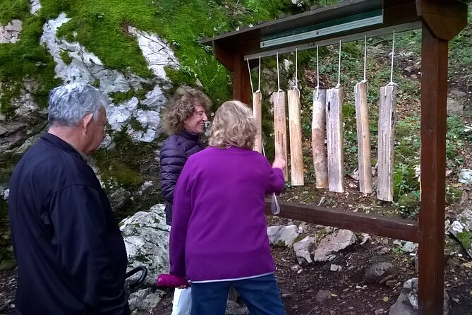 Private Full-Day Tour in Moraca and Tara Canyons, Durmitor & Biogradska Gora NP - Tara River Canyon, green depths and an optional zip line