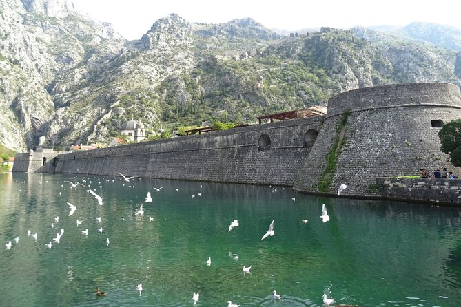 Private Full-Day Tour -Kotor tour, Saint Stefan & NP Skadar Lake - Who this tour is best for