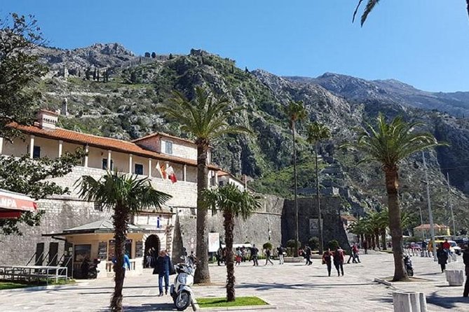 Private Kotor Walking Tour - Rick Steves Recommended - Time and pacing: 1 hour 30 minutes that keeps dinner realistic