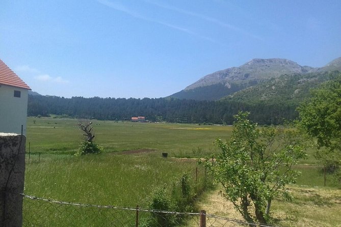 Private National Park Lovcen with food and wine tasting - Stop 2, Njegusi Centar: Homemade Prosciutto, Cheese, and Alcohol Tastings