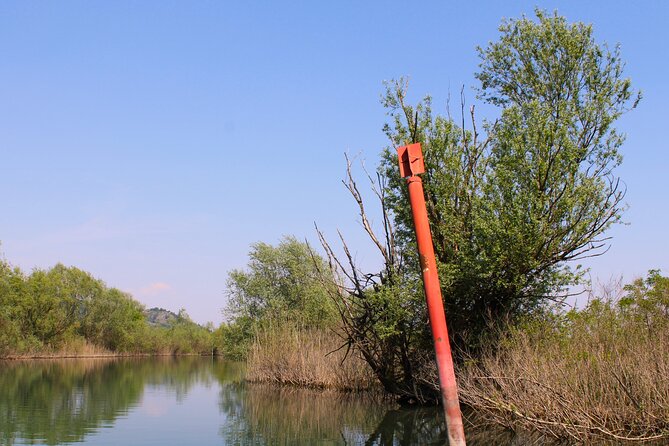 Private Skadar Lake National Park Tour with Wooden Boat and Wine - Stop 5: swim time in Lake Skadar, then local wine back to Virpazar