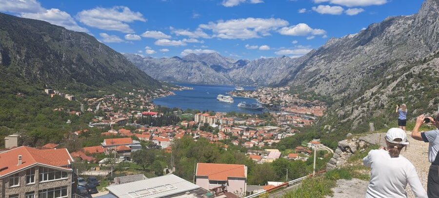 Private Tour: Montenegro Day Trip from Dubrovnik - Who should book this day trip