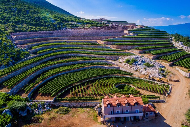 Private Wine Tasting Activity at Lipovac Winery - Key highlights you can’t miss