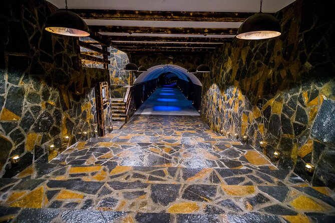 Private Wine Tasting Activity at Lipovac Winery - The 60-meter cellar, barriques, and the qvevri in the ground