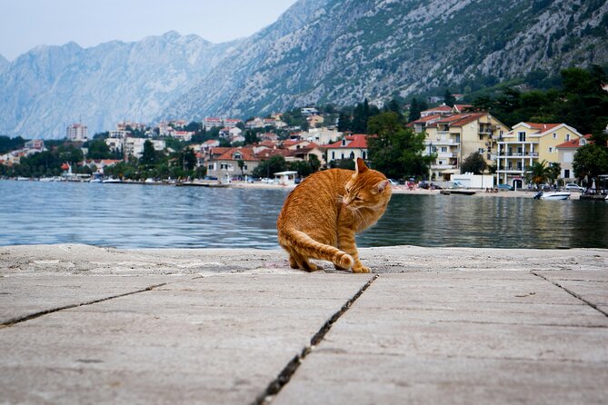 Self Guided Stroll Through Old Town of Kotor - Stop 3, Church of St. Luke: significance you can spot and respect