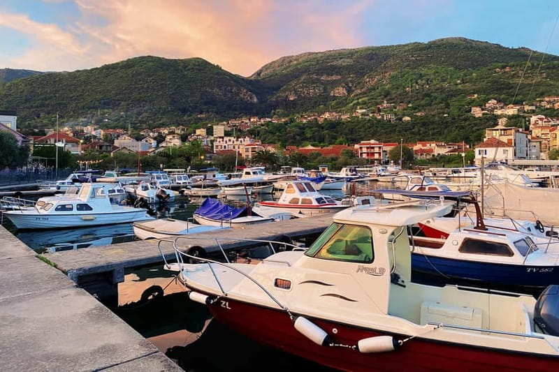 Semi-Private Tour of Montenegro: Budva & Kotor from Tirana - Price and logistics: why $284 can feel fair for what you get