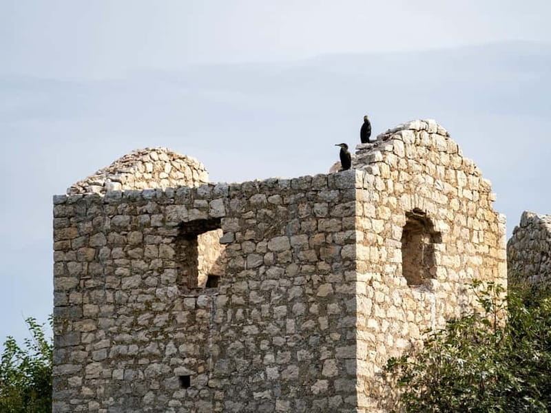 Short Skadar Lake Boat Tour to Morača River with Drinks - Why This 90-Minute Skadar Boat Ride Feels Like a Best-Of Sampler