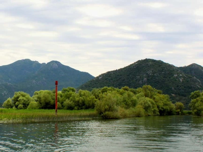 Short Skadar Lake Boat Tour to Morača River with Drinks - On the Water: The Willow-Reed Channel and the Bird Action