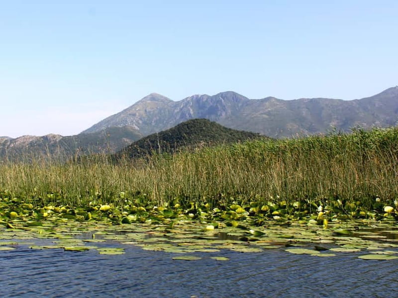 Short Skadar Lake Boat Tour to Morača River with Drinks - Stops You Actually See: Skadar National Park, Grmožur, and the Swim Time