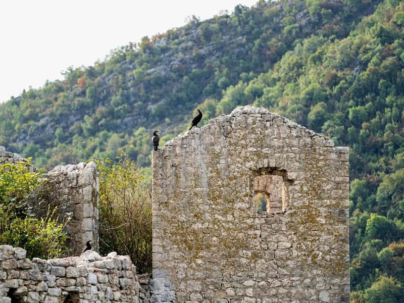 Short Skadar Lake Boat Tour to Morača River with Drinks - What to Pack, and the Rules That Keep Skadar Healthy