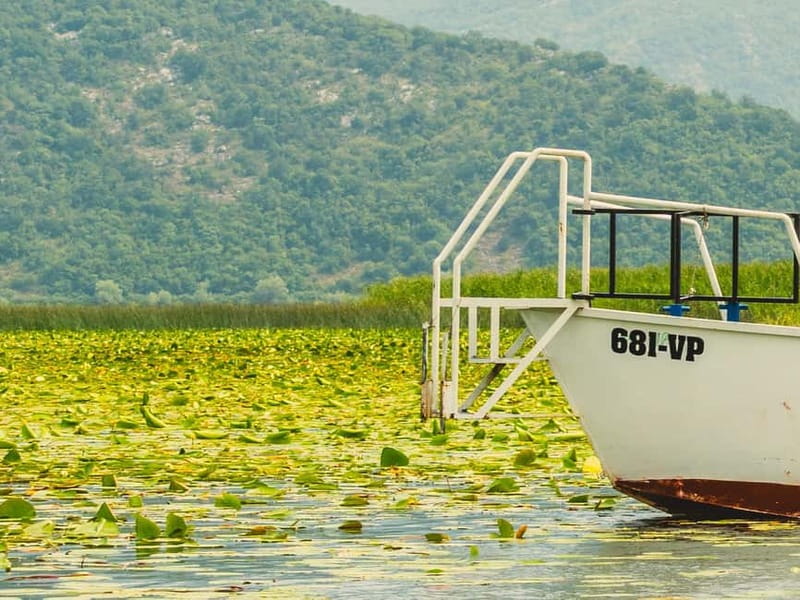 Short Skadar Lake Boat Tour to Morača River with Drinks - Who This Tour Suits Best, and Who Might Want a Longer Day