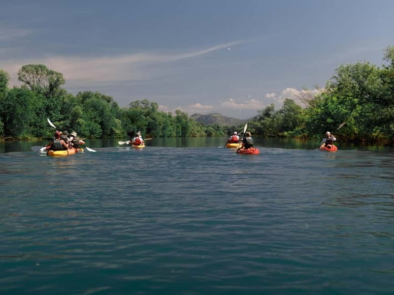 Skadar Lake: 4-Hour Guided tours on Kayak - Key highlights you should care about