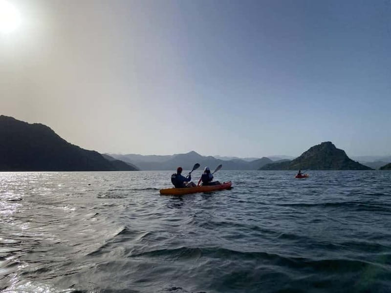 Skadar Lake: 4-Hour Guided tours on Kayak - Wildlife chances: pelicans, herons, cormorants, and how to actually spot them