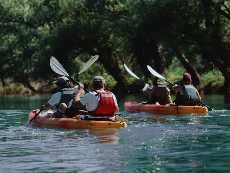 Skadar Lake: 4-Hour Guided tours on Kayak - Kamenik: wildlife viewing and narrow-channel paddling
