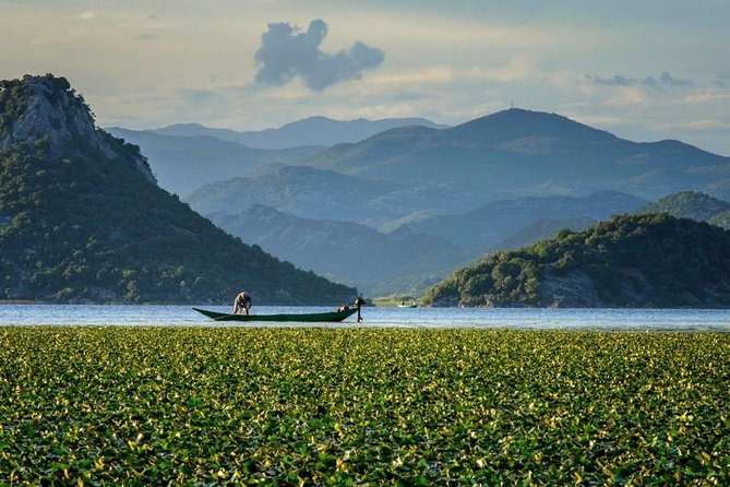 Skadar lake boat ride through "Montenegrin Amazon", wine tasting & Niagara falls - Key things you will like about this Skadar Lake and wine day