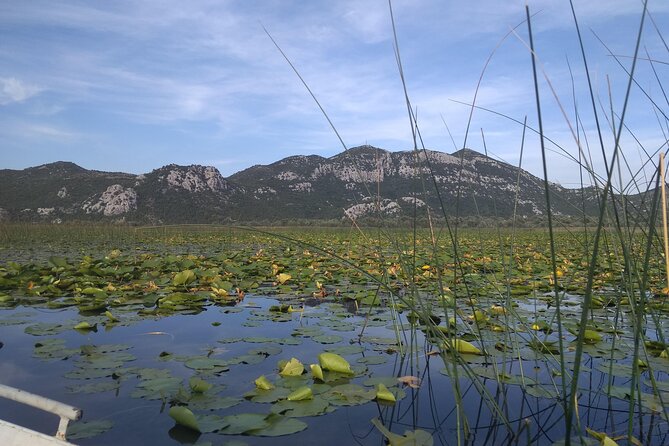 Skadar lake boat ride through "Montenegrin Amazon", wine tasting & Niagara falls - Pavlova Strana viewpoint: the first big payoff