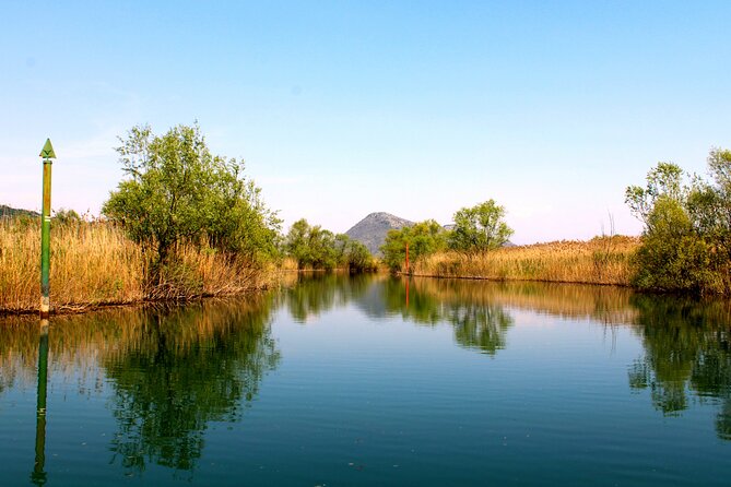 Skadar Lake & Crnojevića River: Swimming, Snacks & Wine - Lesendro fortress, water chestnuts, and birdwatching that feels practical