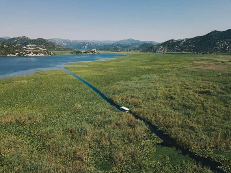 Skadar Lake: Explore the nature and national cuisine - On the water: the boat ride and birdwatching around the lake