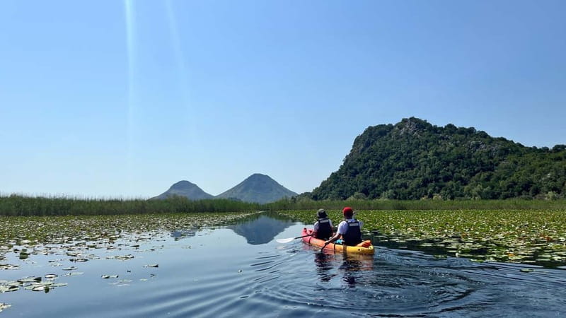 Skadar Lake: Kayak & Paddle board Rental - Value for money: $12 per person plus the national park entrance