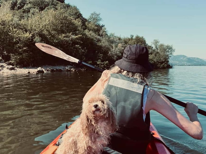 Skadar Lake: Kayak & Paddle board Rental - The experience quality, backed by real feedback on instruction